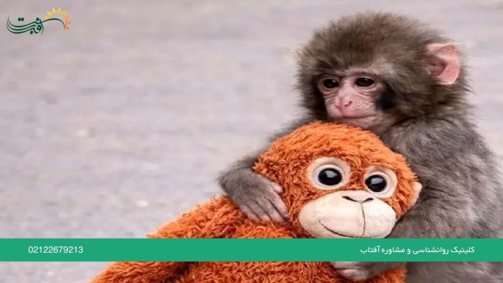 از عروسک کودکی تا حس امنیت در بزرگسالی